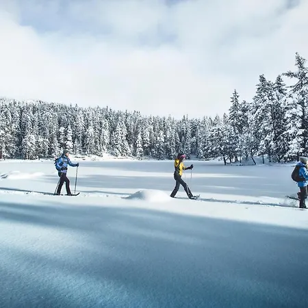 Seefeld-lodge Отель *